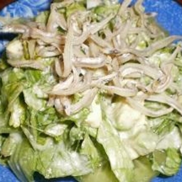 カリーノケールとレタスの雑魚サラダ